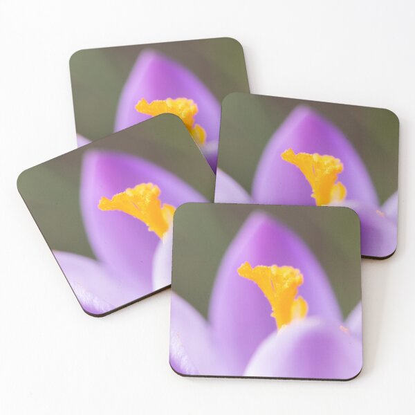 Item preview, a purple crocus blossom designed and sold by Stefan Rotter.