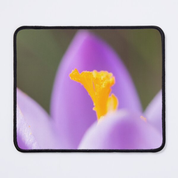 Item preview, a purple crocus blossom designed and sold by Stefan Rotter.