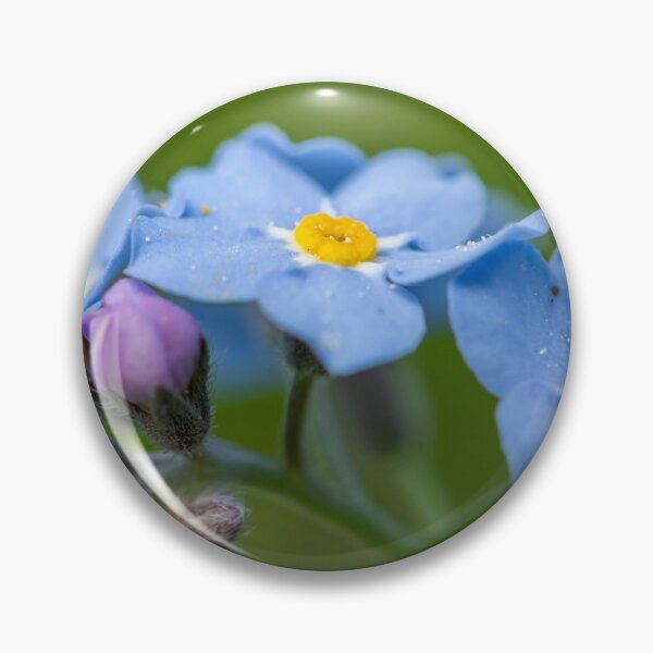 Item preview, Forget me not designed and sold by Stefan Rotter.