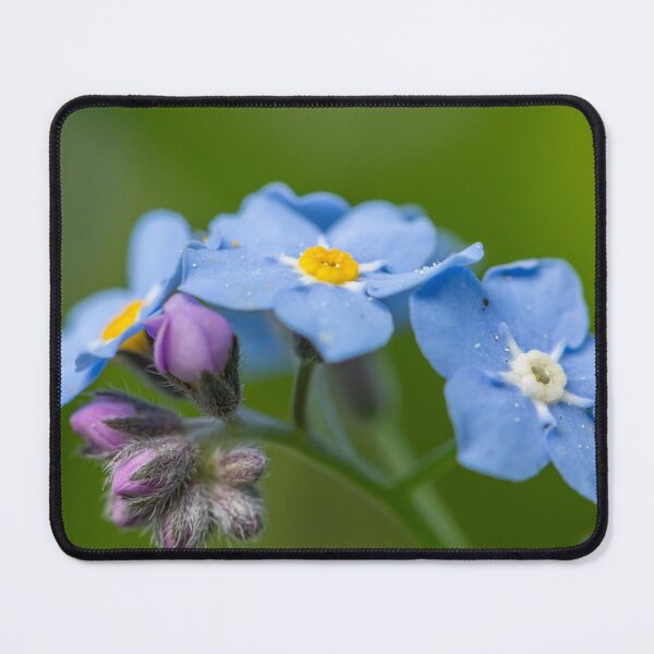 Item preview, Forget me not designed and sold by Stefan Rotter.