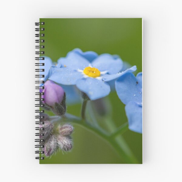 Item preview, Forget me not designed and sold by Stefan Rotter.