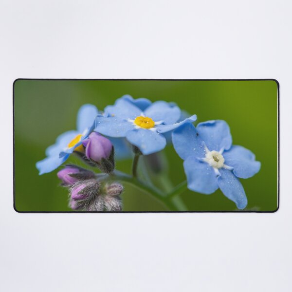 Item preview, Forget me not designed and sold by Stefan Rotter.