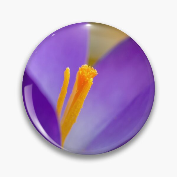 Item preview, a purple crocus blossom designed and sold by Stefan Rotter.
