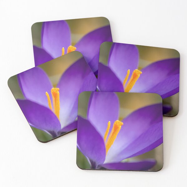 Item preview, a purple crocus blossom designed and sold by Stefan Rotter.
