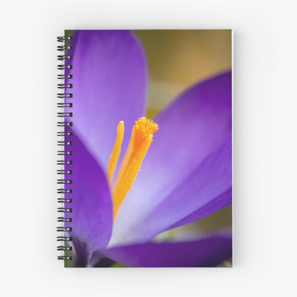 Item preview, a purple crocus blossom designed and sold by Stefan Rotter.