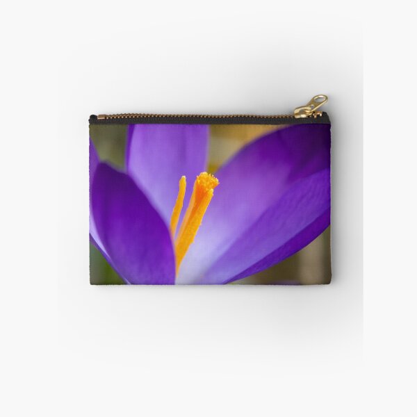 Item preview, a purple crocus blossom designed and sold by Stefan Rotter.