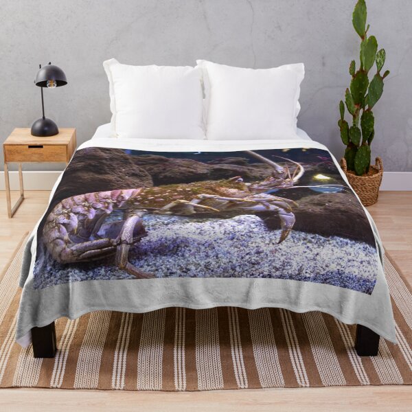 Item preview, lobster photo with high resolution quality designed and sold by Allyouneed-2.