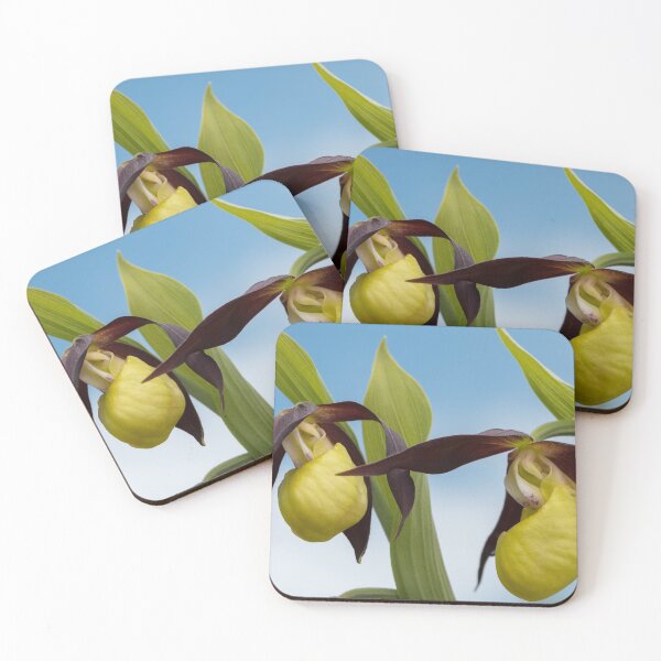 Item preview, Lady's-slipper orchid designed and sold by Stefan Rotter.