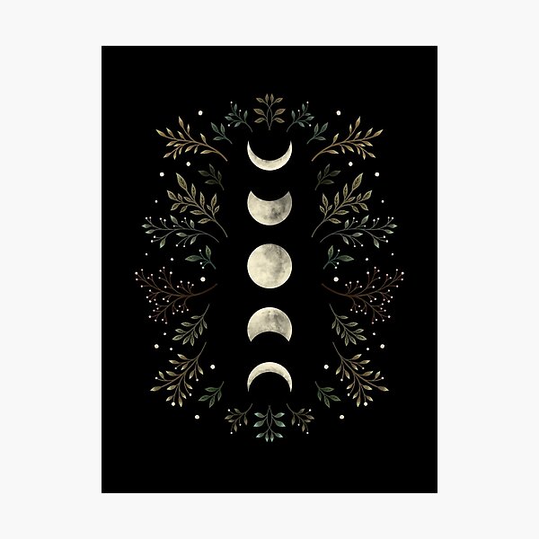 Moonlit Garden-Olive Green Photographic Print