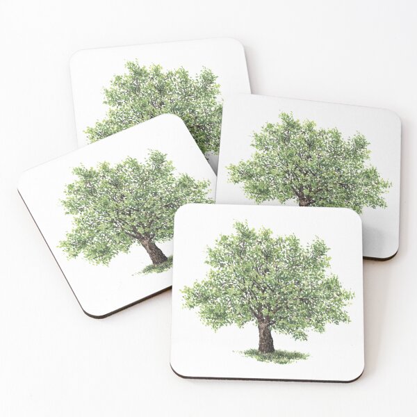 Item preview, July birthday walnut tree designed and sold by birthflower.