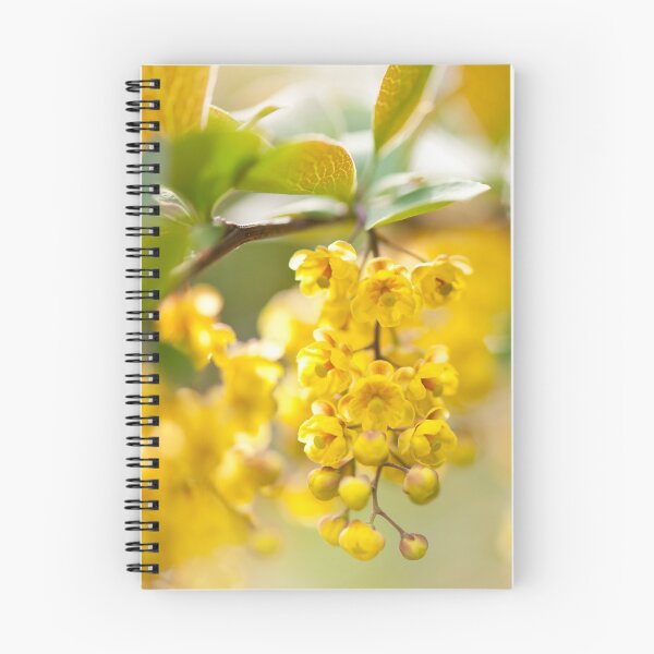 Item preview, Berberis yellow flowering shrub designed and sold by Arletta Cwalina.