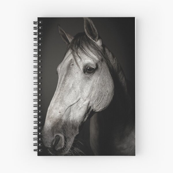Item preview, Gray horse portrait - Photography  designed and sold by PimpMyPet.