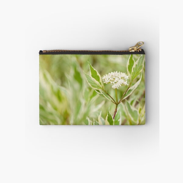 Item preview, Cornus alba flowering twig designed and sold by Arletta Cwalina.