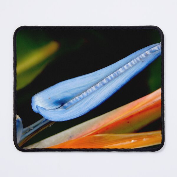 Item preview, Bird of Paradise  designed and sold by ArtbyMparrish .