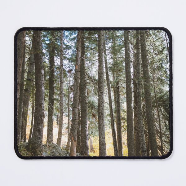 Item preview, Sunset forest designed and sold by Raft.