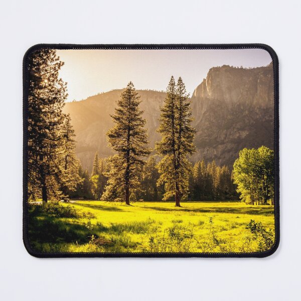 Item preview, Tree in the middle of a meadow during sunset designed and sold by Raft.