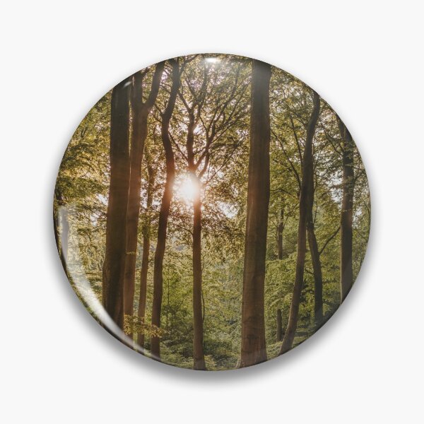 Artikelvorschau, Beautiful forest warm light entworfen und verkauft von Raft.