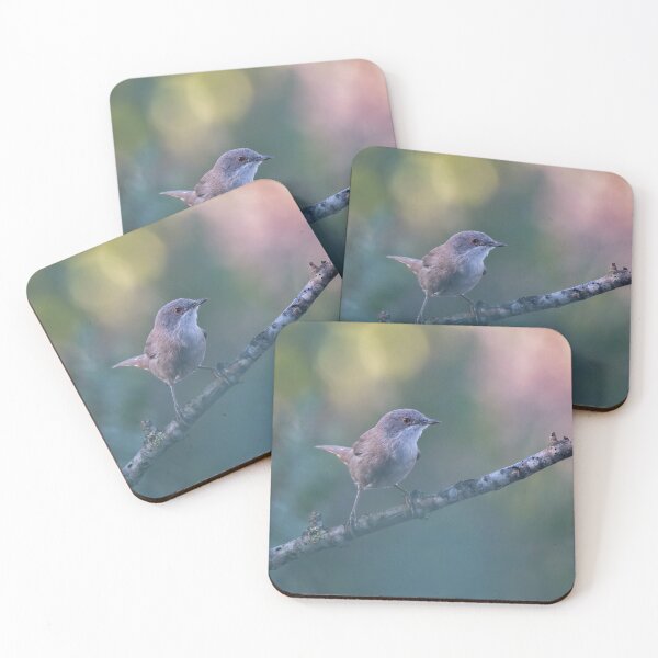 Item preview, Sardinian warbler (Curruca melanocephala) designed and sold by sgrphotography.
