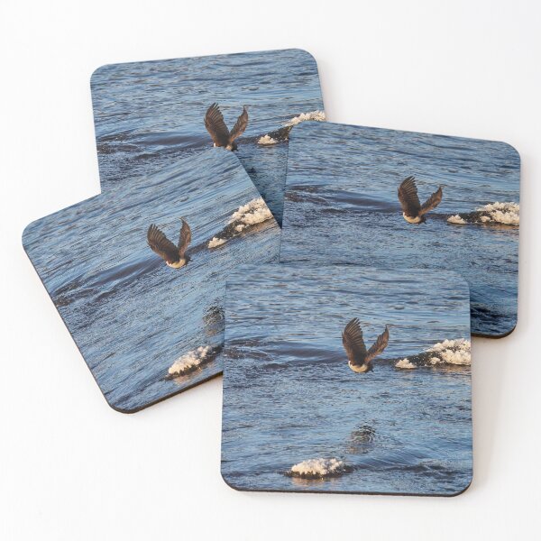 Item preview, Fly the blues away. White-throated dipper designed and sold by Jouko Lehto Photography.