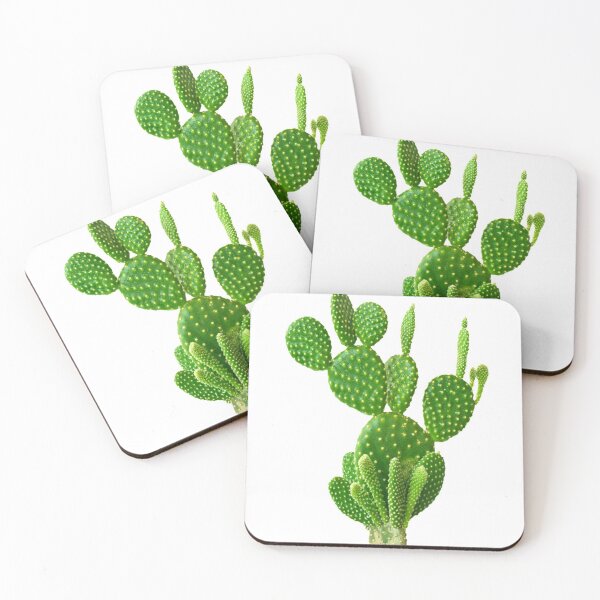 Item preview, A Very Lovely Green Cactus....!! designed and sold by VIVEK KUMAR RAI.