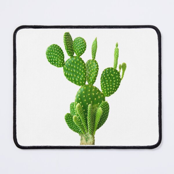Item preview, A Very Lovely Green Cactus....!! designed and sold by VIVEK KUMAR RAI.