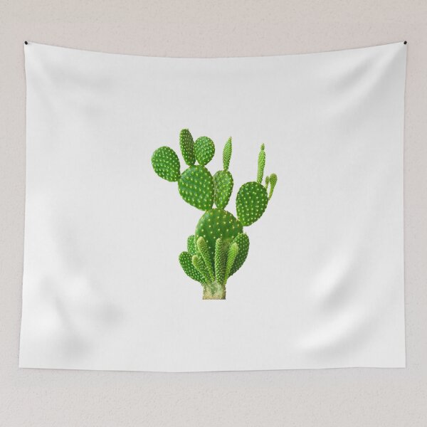 Item preview, A Very Lovely Green Cactus....!! designed and sold by VIVEK KUMAR RAI.