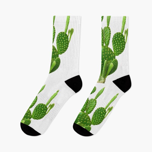 Item preview, A Very Lovely Green Cactus....!! designed and sold by VIVEK KUMAR RAI.
