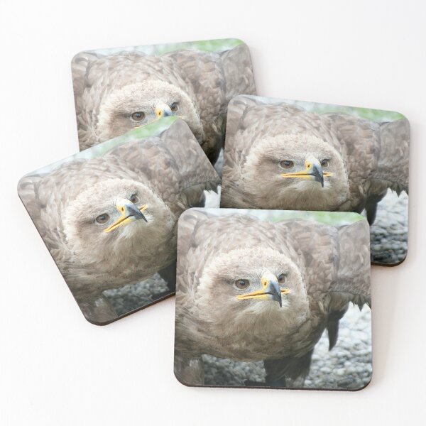 Item preview, Steppe Eagle designed and sold by Calidris Fotografie Steffi & Ben Köppler.