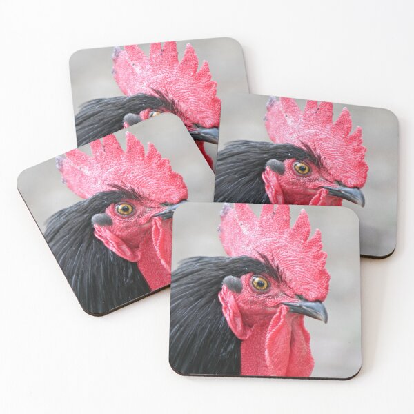 Item preview, Rooster designed and sold by Calidris Fotografie Steffi & Ben Köppler.