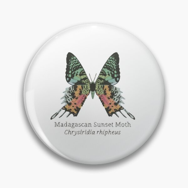 Item preview, Madagascan sunset moth designed and sold by WyrdandWoven.