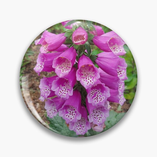 Item preview, Homegrown Foxglove designed and sold by PixelQube32.