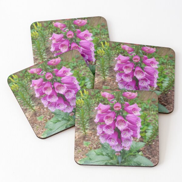 Item preview, Homegrown Foxglove designed and sold by PixelQube32.