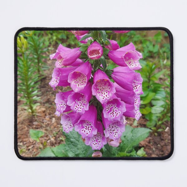 Item preview, Homegrown Foxglove designed and sold by PixelQube32.