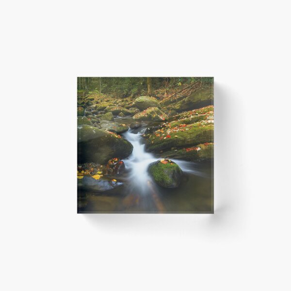 Item preview, Smoky Mountain Stream 2 designed and sold by DNELSONPHOTO.