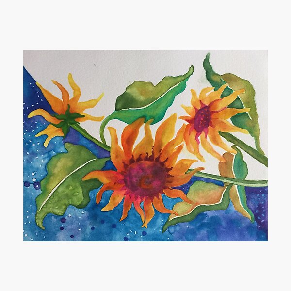 Photographic Print