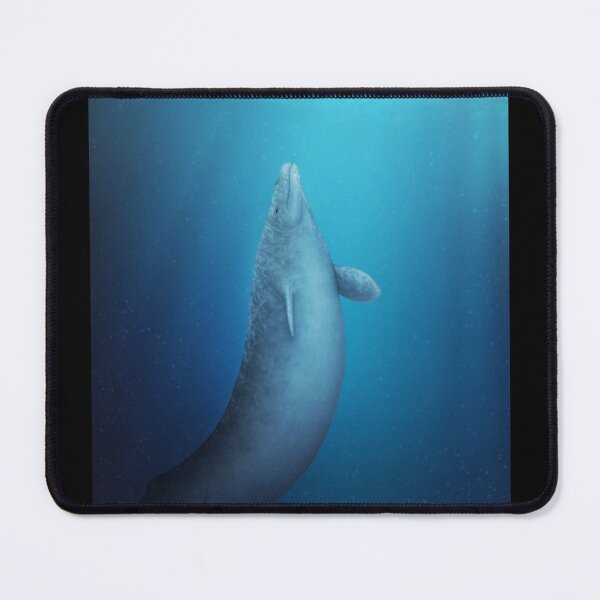Item preview, Basilosaurus Prehistoric Whale designed and sold by saradrawspaleo.