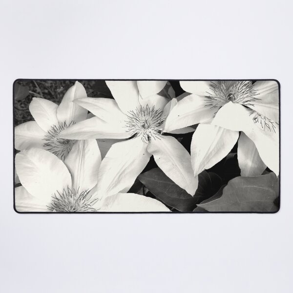 Item preview, Clematis- Black and White designed and sold by MooseDogPhotos.