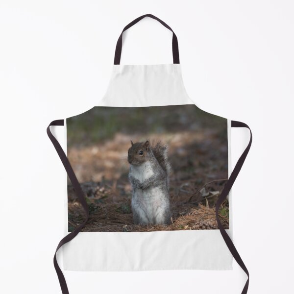 Item preview, Eastern gray squirrel designed and sold by pietrofoto.