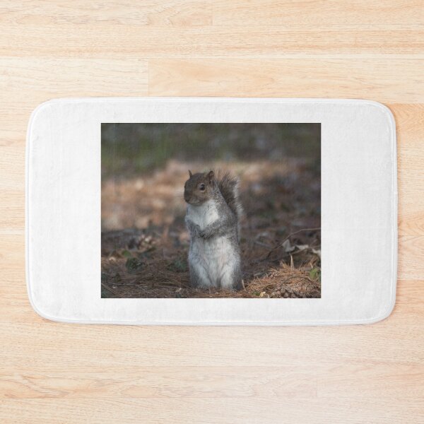 Item preview, Eastern gray squirrel designed and sold by pietrofoto.