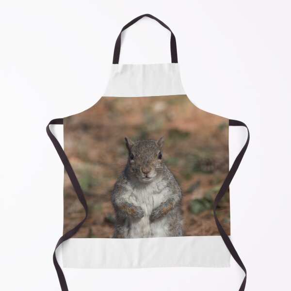 Item preview, Eastern gray squirrel designed and sold by pietrofoto.