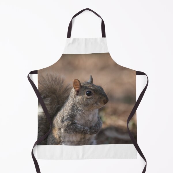 Item preview, Eastern gray squirrel designed and sold by pietrofoto.