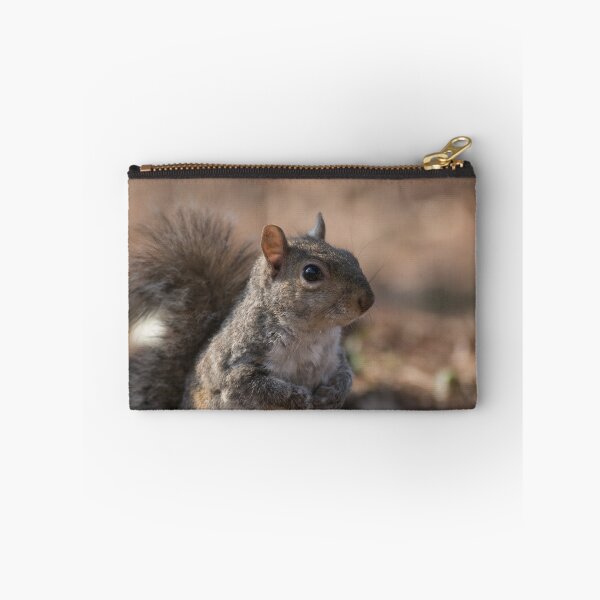 Item preview, Eastern gray squirrel designed and sold by pietrofoto.