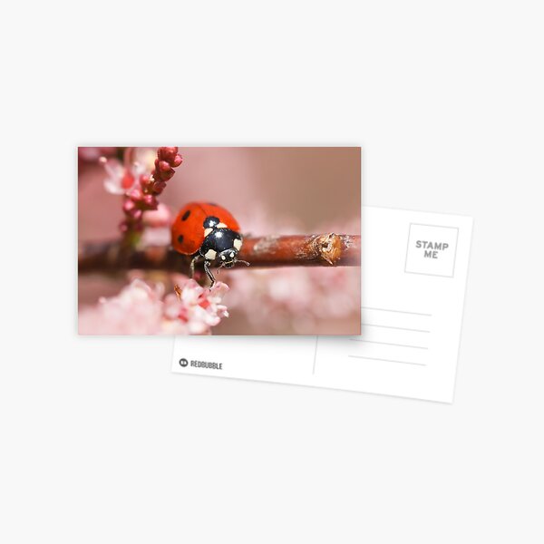 Item preview, Ladybug on pink blossom designed and sold by Margriet Verkuijlen.