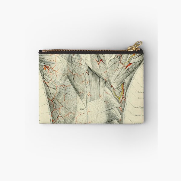 Item preview, Human Anatomy - Back designed and sold by nextstepdesigns.