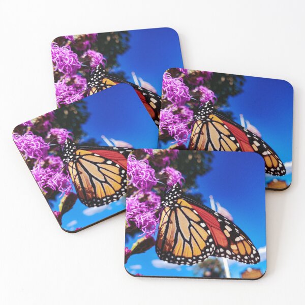 Item preview, Monarch Butterfly Photograph designed and sold by Jeda1429.
