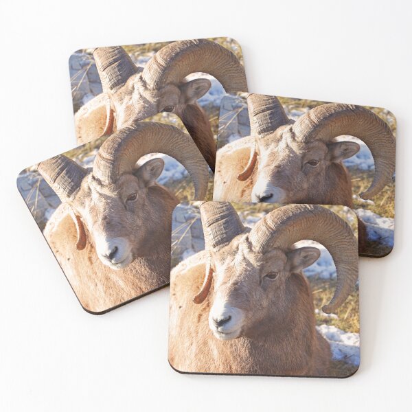 Item preview, Rocky Ram designed and sold by Gralyn Boyd.