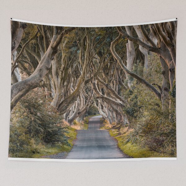 Item preview, The Dark Hedges designed and sold by David Bowman.