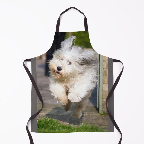 Item preview, Bailey In Flight designed and sold by Paul Thompson Photography.