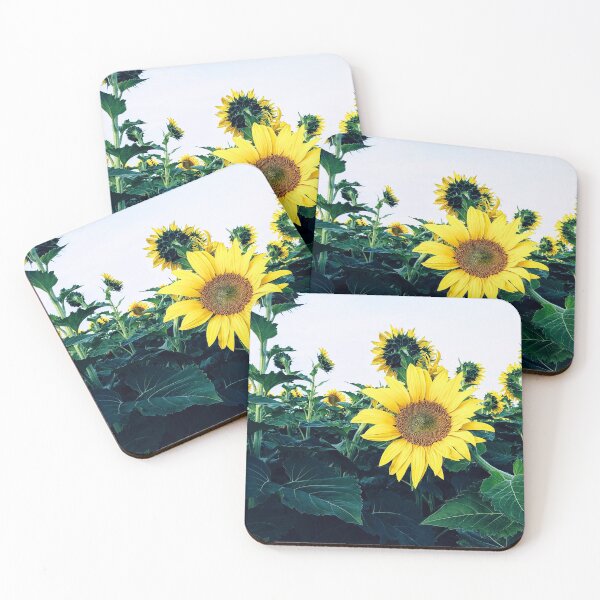 Item preview, Sunflower Field Photo designed and sold by Jeda1429.