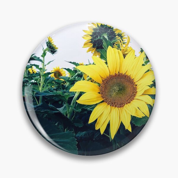 Item preview, Sunflower Field Photo designed and sold by Jeda1429.